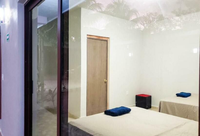 חדר דלוקס, Blue Turtle