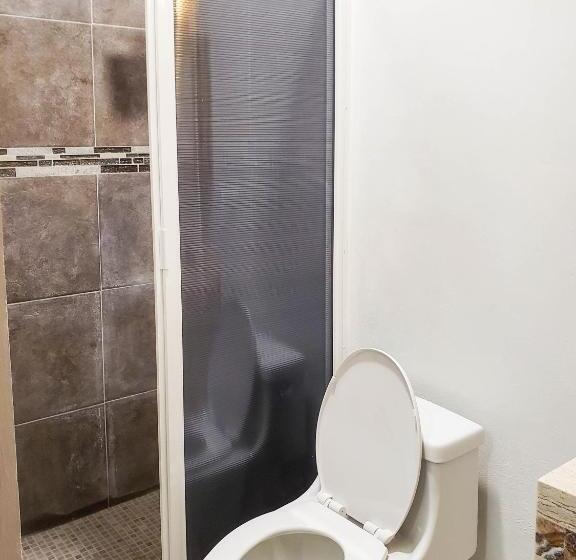 חדר סטנדרט, Blue Turtle