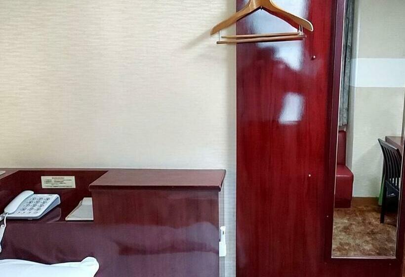 Студия Стандарт, Bayside Mihara   Vacation Stay 02319v