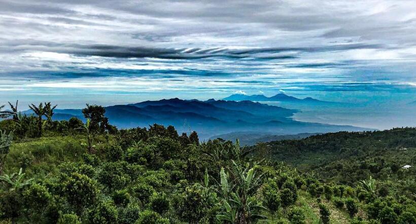 חדר אקזקיוטיב נוף לבריכה, Shankara Munduk Bali