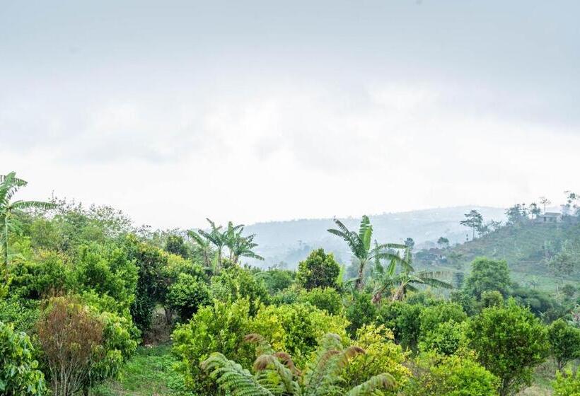 Люкс Вид на Бассейн, Shankara Munduk Bali