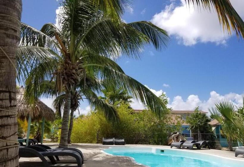 آپارتمان 1 خوابه با چشمانداز دریا, Kas Lagoen Blou