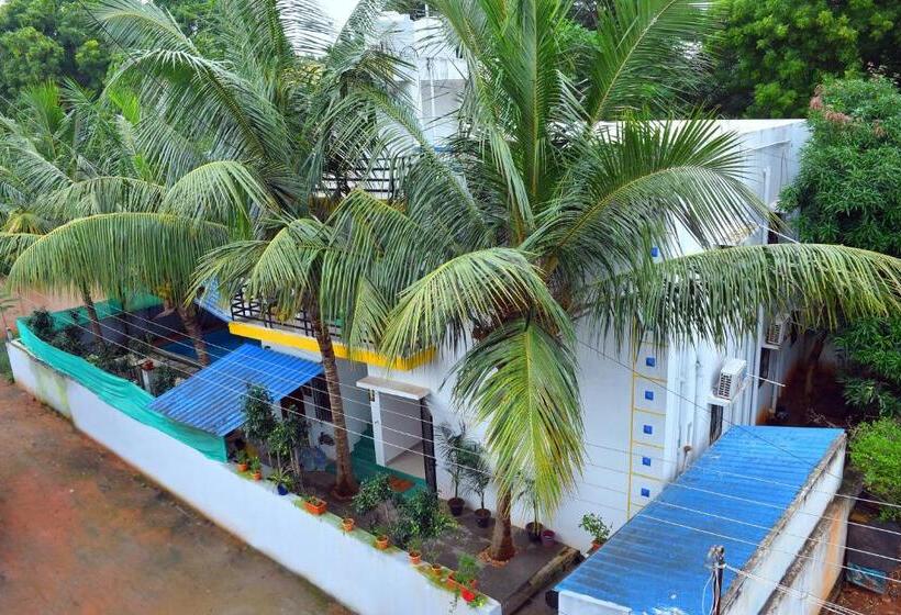 חדר אקזקיוטיב לשלושה, The Club House  Swimming Pool That S Better Than The Beach