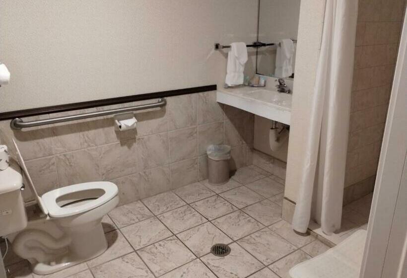 غرفة قياسية, Bay Valley Resort