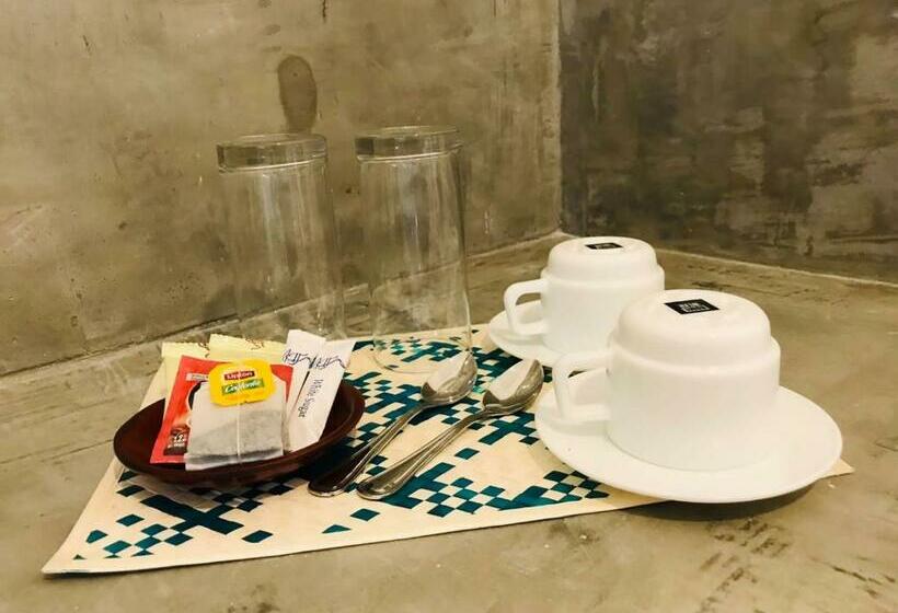 豪华房间, Ceagull