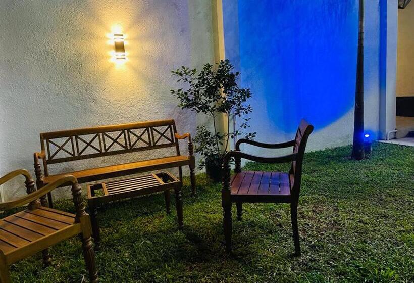 豪华家庭房间, Ceagull