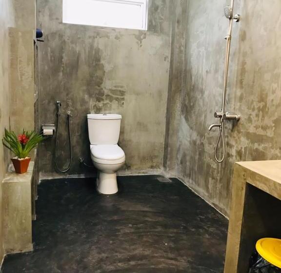 חדר משפחתי דלוקס, Ceagull