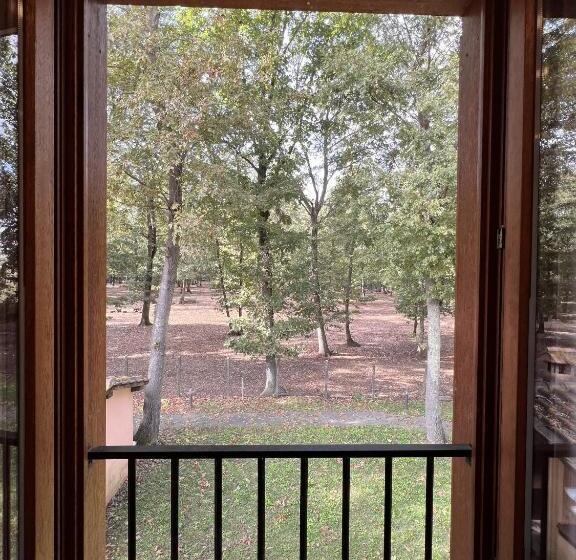 スーペリアースイート, Guest House La Selvotta