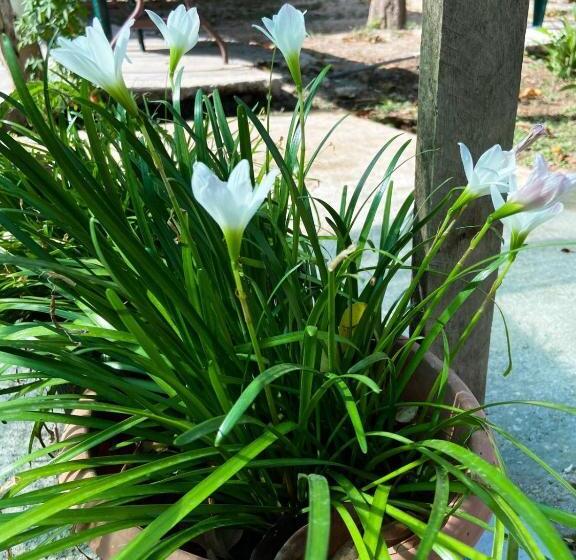 经济型三人房间, Puente Real Hostel