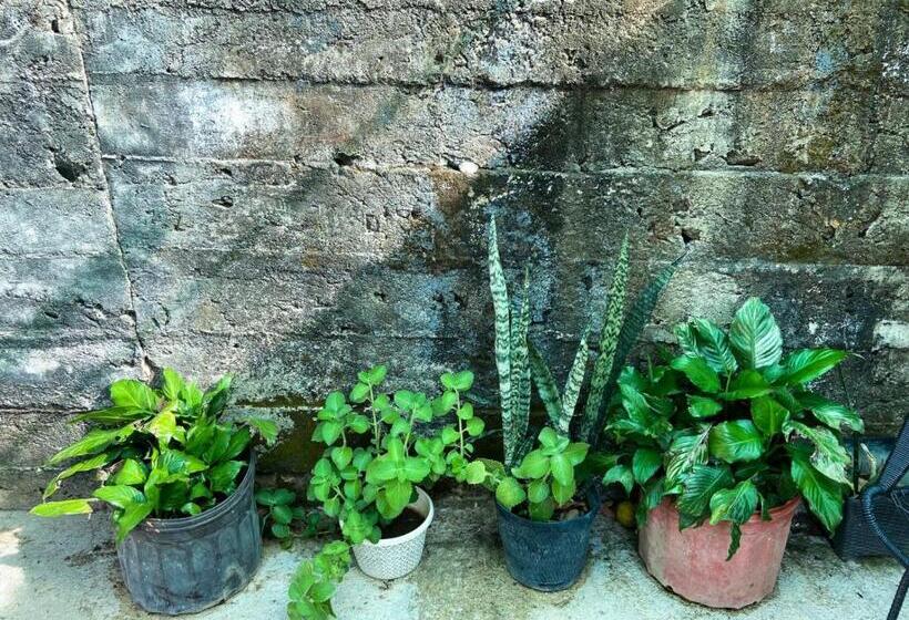 单人经济间, Puente Real Hostel