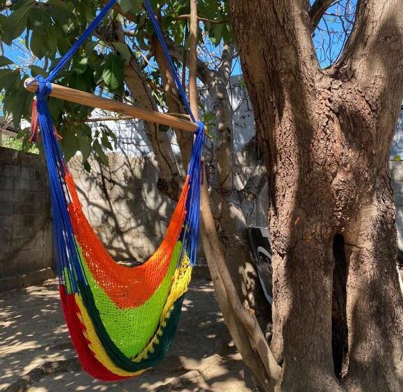 单人经济间, Puente Real Hostel