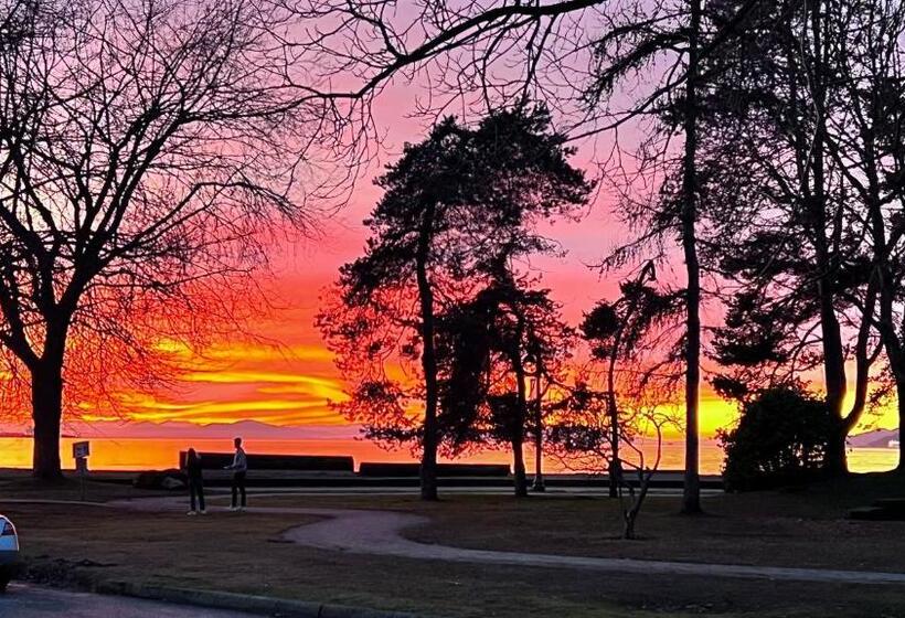 스탠다드 스튜디오 킹침대, Kia Oceanview Property