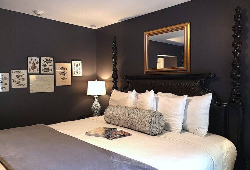 חדר דחוקס עם מיטת קינג, The Primrose