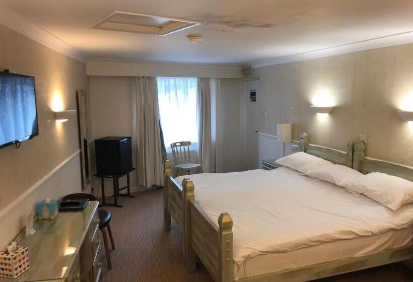 غرفة قياسية سرير كينج, The Willow House