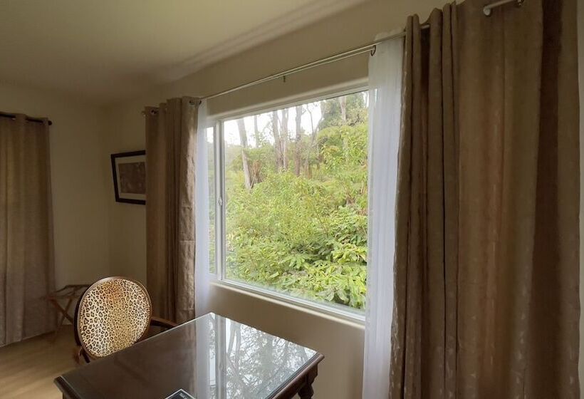 חדר סטנדרט, Volcano Forest Inn