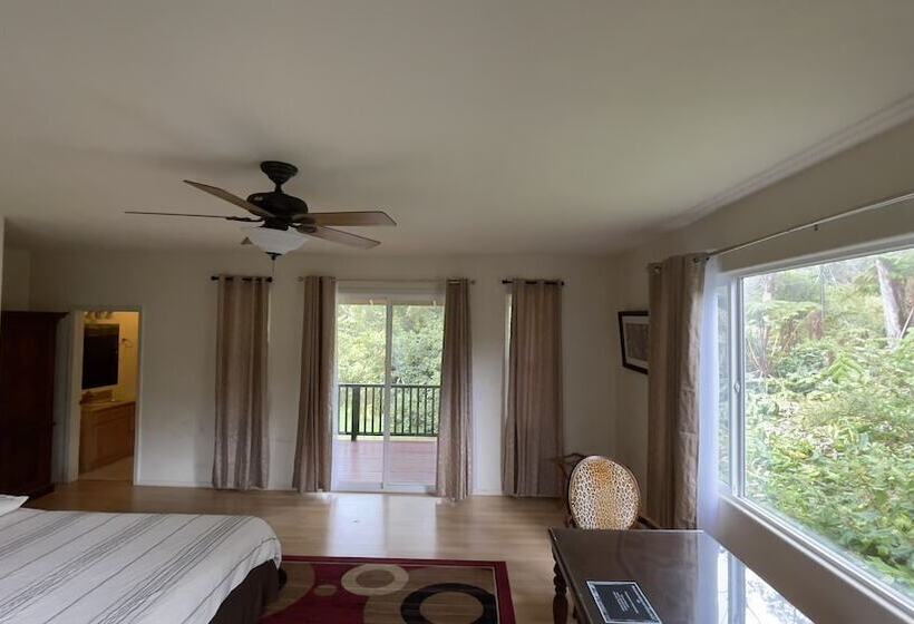 חדר סטנדרט, Volcano Forest Inn