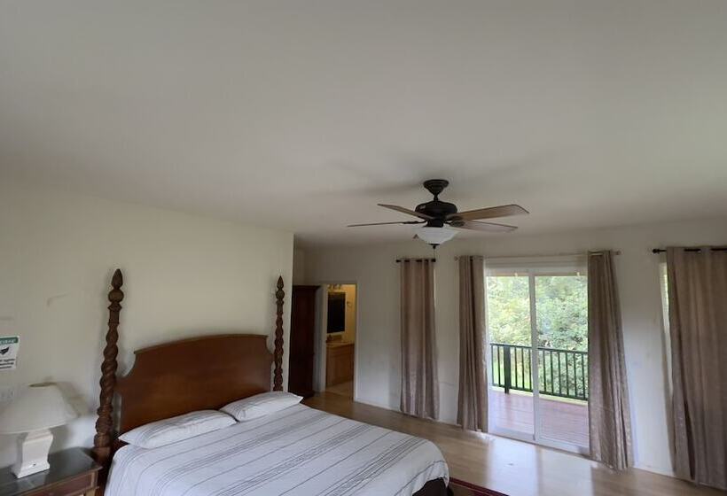 חדר סטנדרט, Volcano Forest Inn