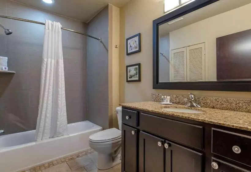 スイート, Comfort Inn Bentonville  Crystal Bridges