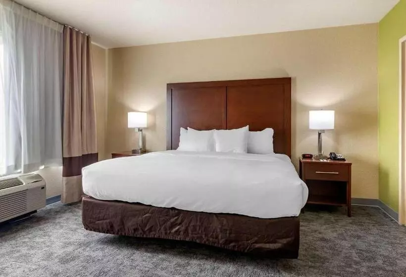 キングサイズベッドのスタンダードルーム, Comfort Inn Bentonville  Crystal Bridges