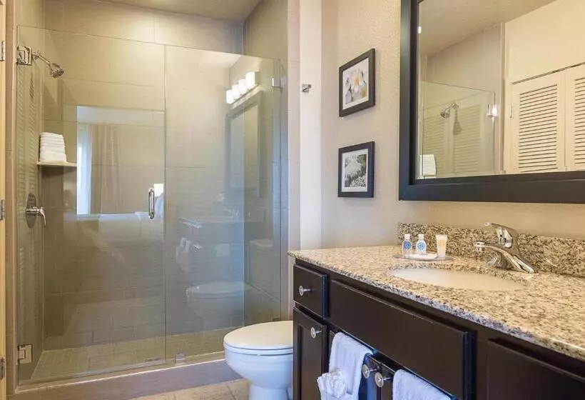 スタンダードルーム, Comfort Inn Bentonville  Crystal Bridges