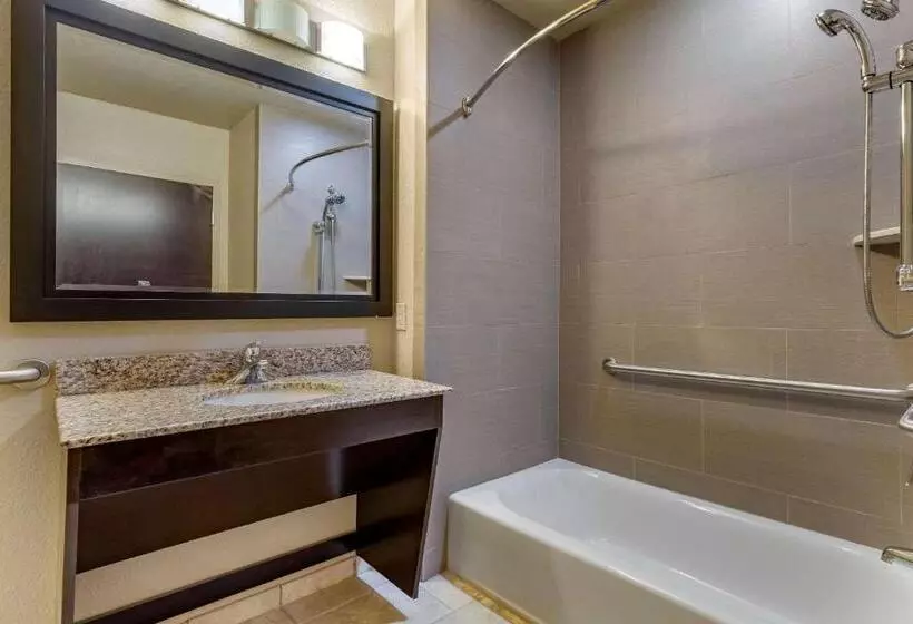 身障者適用クイーンサイズベッドルーム, Comfort Inn Bentonville  Crystal Bridges