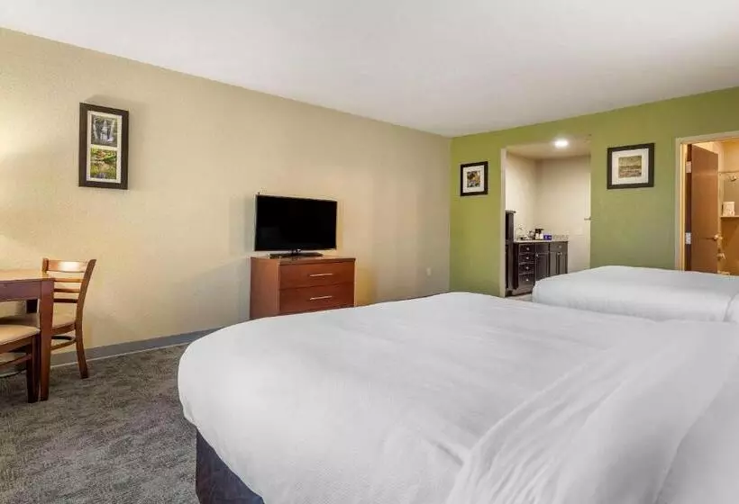 身障者適用クイーンサイズベッドルーム, Comfort Inn Bentonville  Crystal Bridges