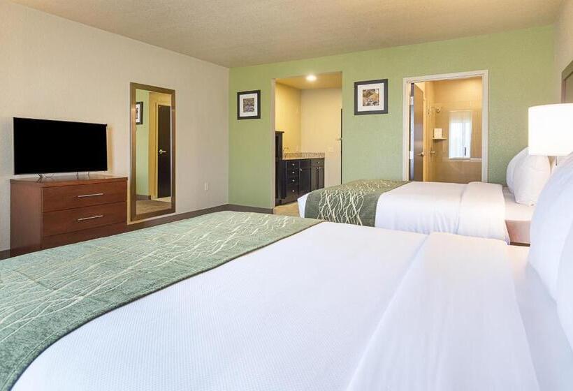 اتاق استاندارد با تخت دو نفره بزرگ برای معلولان, Comfort Inn Bentonville  Crystal Bridges