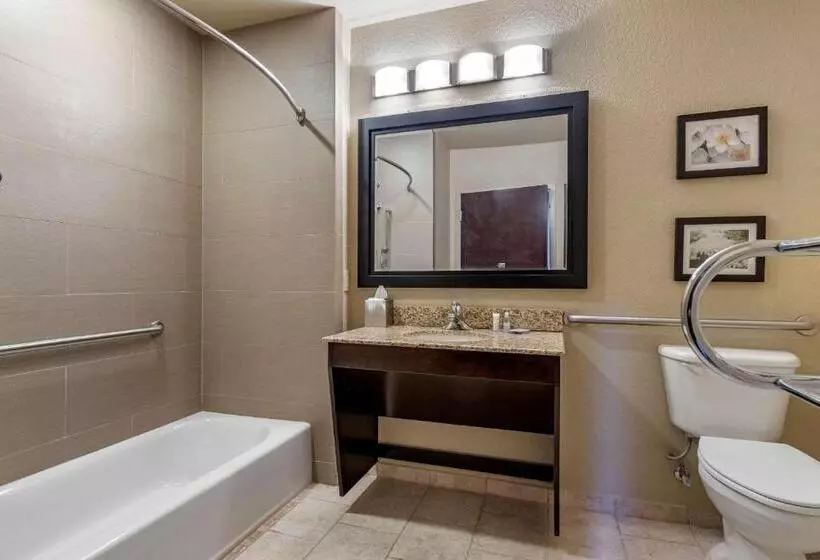 身障者適用スタンダードルーム, Comfort Inn Bentonville  Crystal Bridges