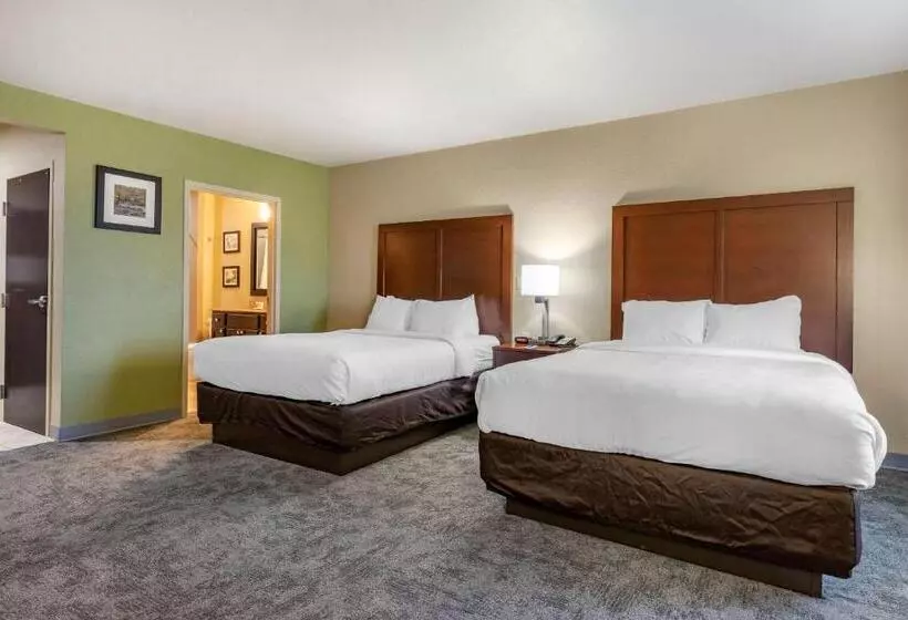 身障者適用スタンダードルーム, Comfort Inn Bentonville  Crystal Bridges