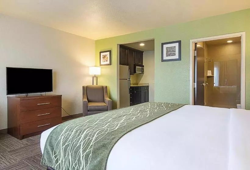 身障者適用キングサイズベッドルーム, Comfort Inn Bentonville  Crystal Bridges