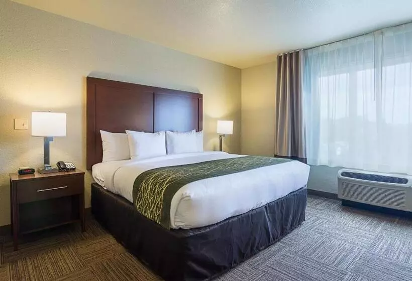 身障者適用キングサイズベッドルーム, Comfort Inn Bentonville  Crystal Bridges