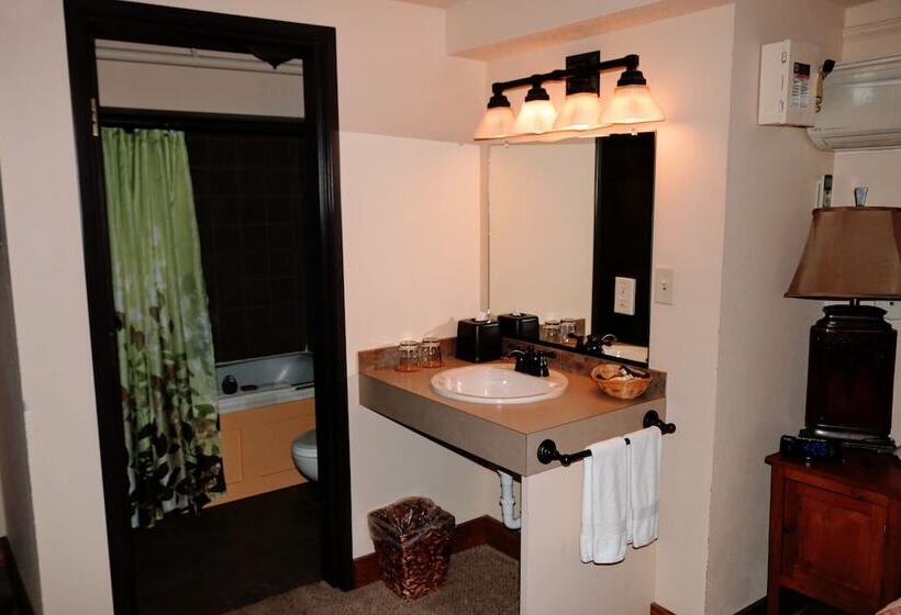 חדר סטנדרט, Iowa House Historic Inn