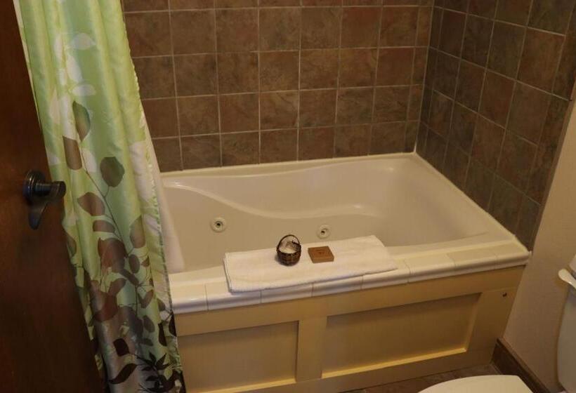 חדר סטנדרט, Iowa House Historic Inn