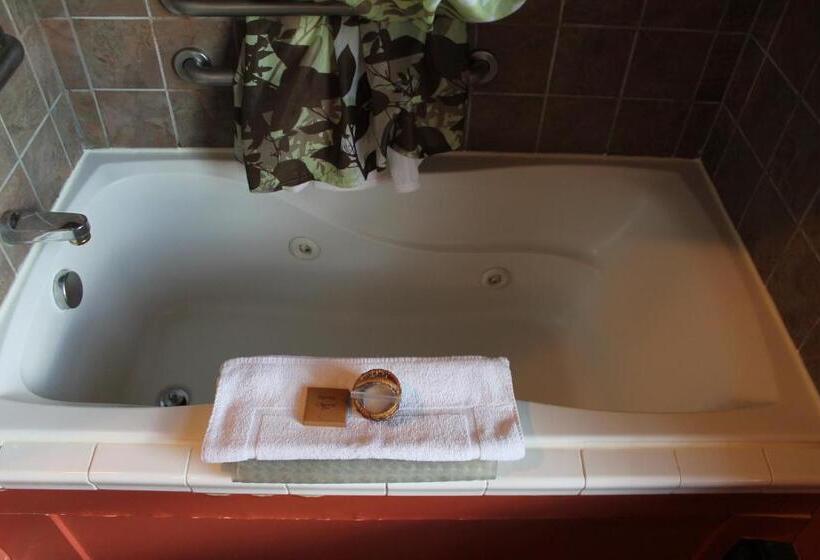 חדר דלוקס, Iowa House Historic Inn