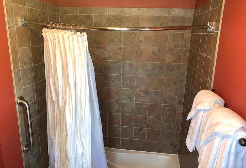 חדר סטנדרט, Iowa House Historic Inn