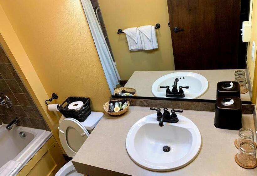 חדר סטנדרט, Iowa House Historic Inn