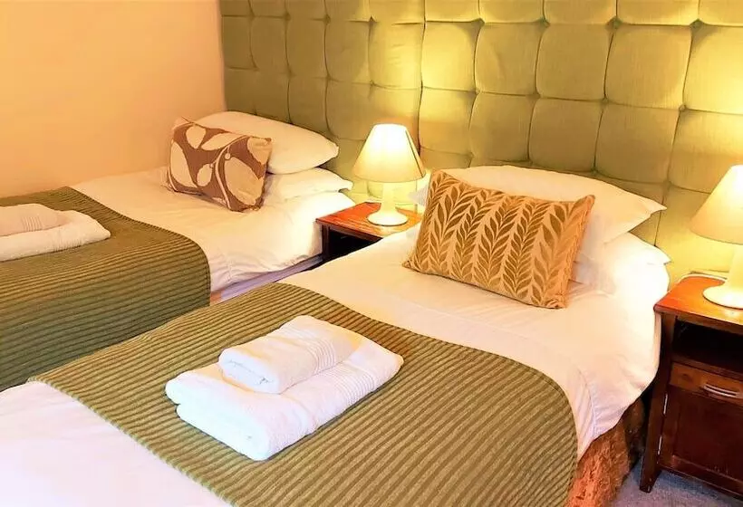 Standard-huone, Dolgun Uchaf Historic B&b And Self Catering Cottages In Snowdonia