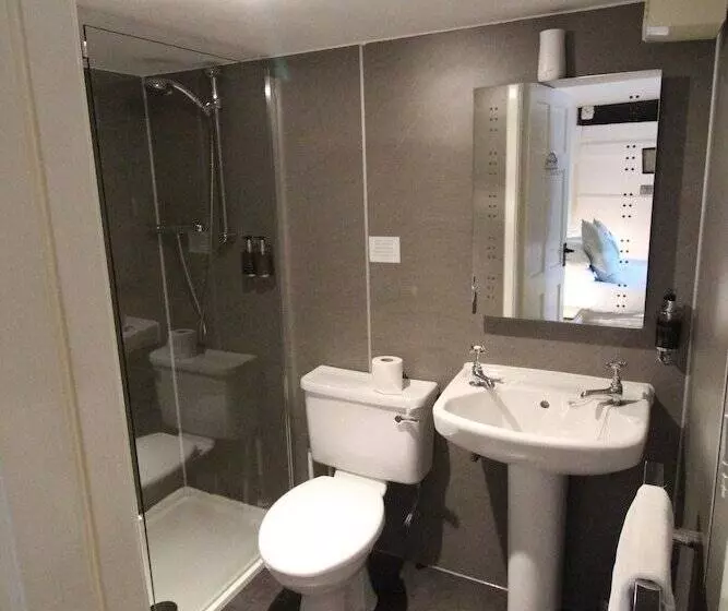 Standard-huone, Dolgun Uchaf Historic B&b And Self Catering Cottages In Snowdonia
