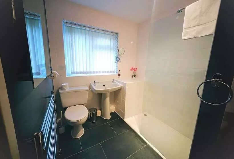 Standard-huone, Dolgun Uchaf Historic B&b And Self Catering Cottages In Snowdonia