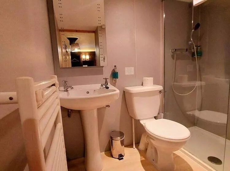 Standard-huone, Dolgun Uchaf Historic B&b And Self Catering Cottages In Snowdonia