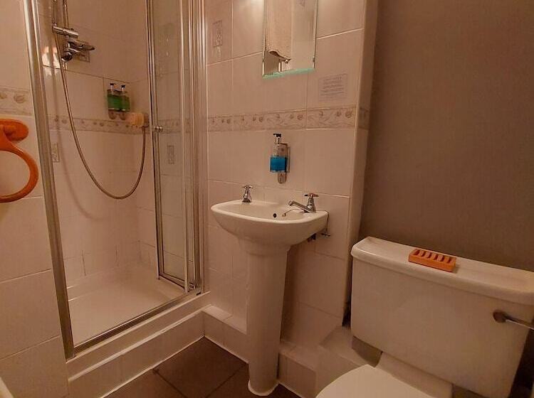 اتاق استاندارد یک نفره, Dolgun Uchaf Historic B&b And Self Catering Cottages In Snowdonia