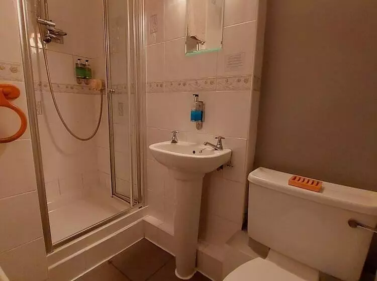 Standard Yhden Hengen Huone, Dolgun Uchaf Historic B&b And Self Catering Cottages In Snowdonia