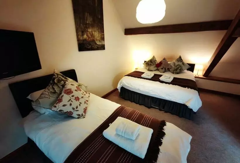 Talo 1 Makuuhuone, Dolgun Uchaf Historic B&b And Self Catering Cottages In Snowdonia