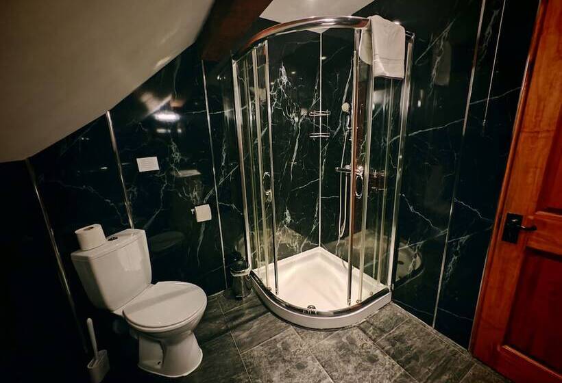 خانه 1 خوابه, Dolgun Uchaf Historic B&b And Self Catering Cottages In Snowdonia