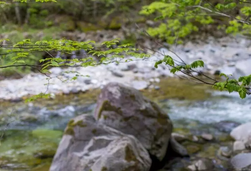 Premium-huone, Wanosato