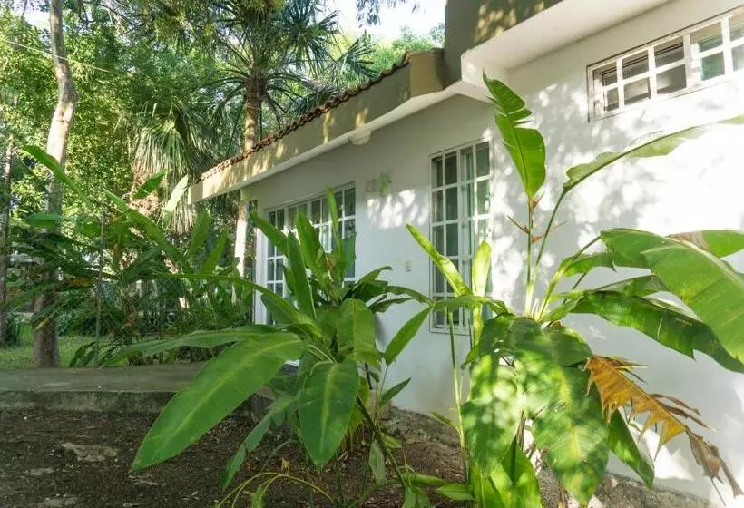 سوییت خانوادگی, Villas Bambu
