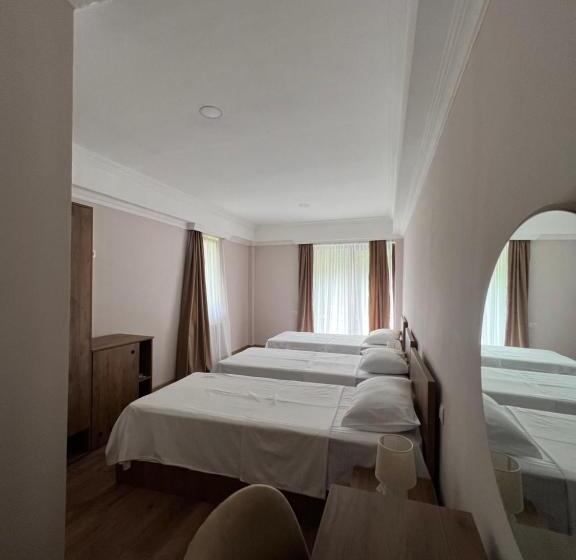 اتاق سوپریور خانوادگی, Lileo Inn