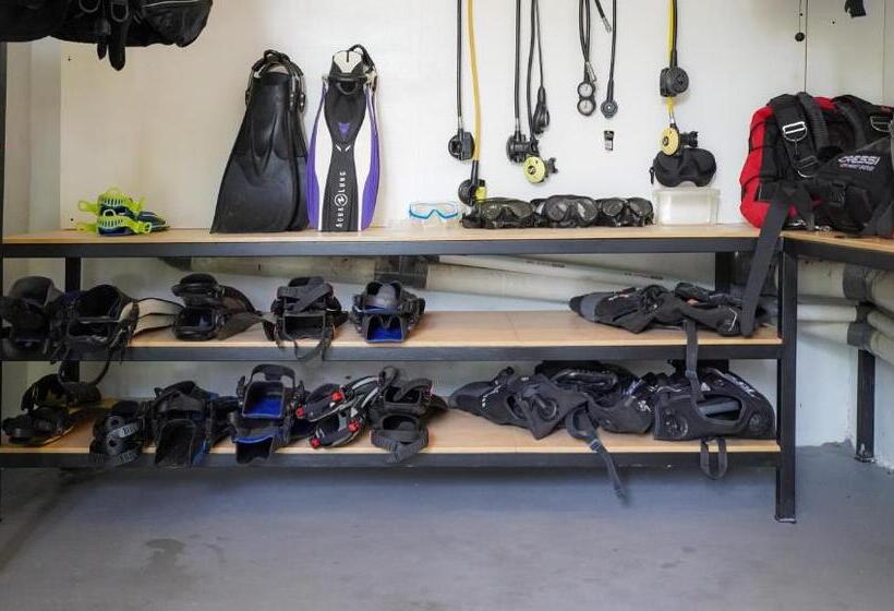 חדר סטנדרט עם מיטת קינג, Palm Springs Bali Dive Resort