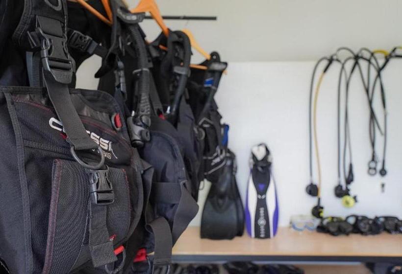 חדר סטנדרט עם מיטת קינג, Palm Springs Bali Dive Resort