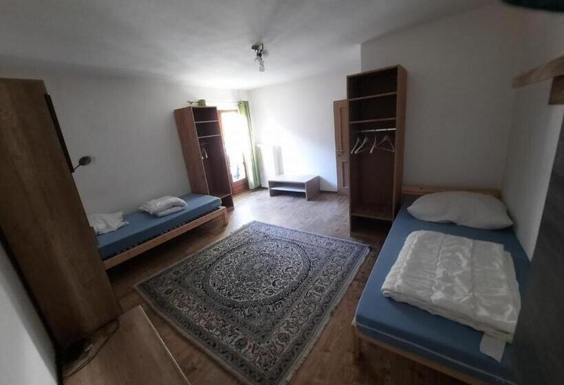 آپارتمان 1 خوابه با چشم‌انداز, Gasthof Hirschen